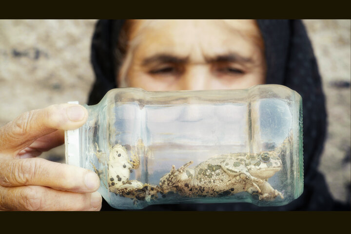 همزیستی ۴ ساله با لک‌لک‌ها؛ چطور فیلم مستند را برای مخاطب جذاب کنیم؟