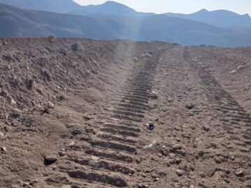 سرمایه‌گذار شترمرغ از دستور استاندار خراسان شمالی سرپیچی کرد