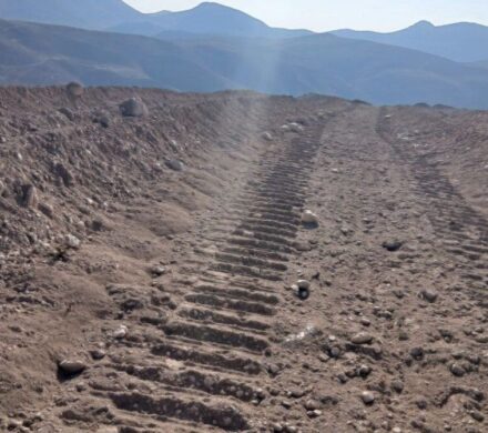 سرمایه‌گذار شترمرغ از دستور استاندار خراسان شمالی سرپیچی کرد