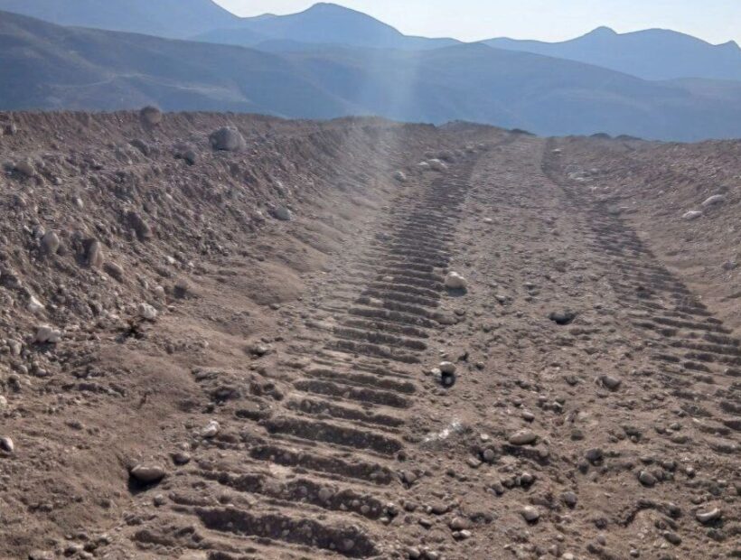 سرمایه‌گذار شترمرغ از دستور استاندار خراسان شمالی سرپیچی کرد