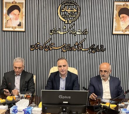 آنجفی: گندم تولید داخل از کیفیت بالایی برخوردار است