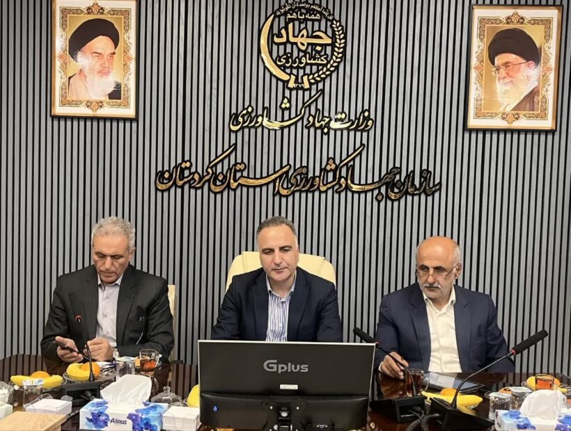 آنجفی: گندم تولید داخل از کیفیت بالایی برخوردار است