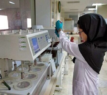 شیوهنامه طرح دانا برای حمایت از دکترای حرفهای ابلاغ شد