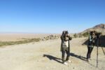 پرندگان شکاری در روستای قلعه بالای بیارجمند پایش میشوند