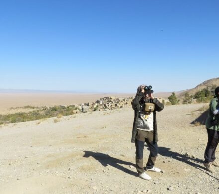 پرندگان شکاری در روستای قلعه بالای بیارجمند پایش می‌شوند