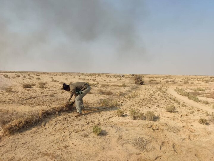 مرادزاده: یکی از دشت‌های مهم زنده‌گیری «هوبره» پاکسازی شد