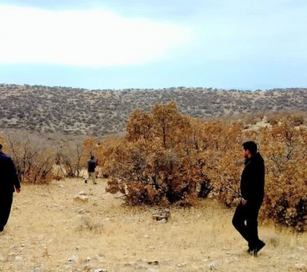 تخریب ۱۱ کوره زغال و کشف سه تن چوب بلوط در فیروزآباد