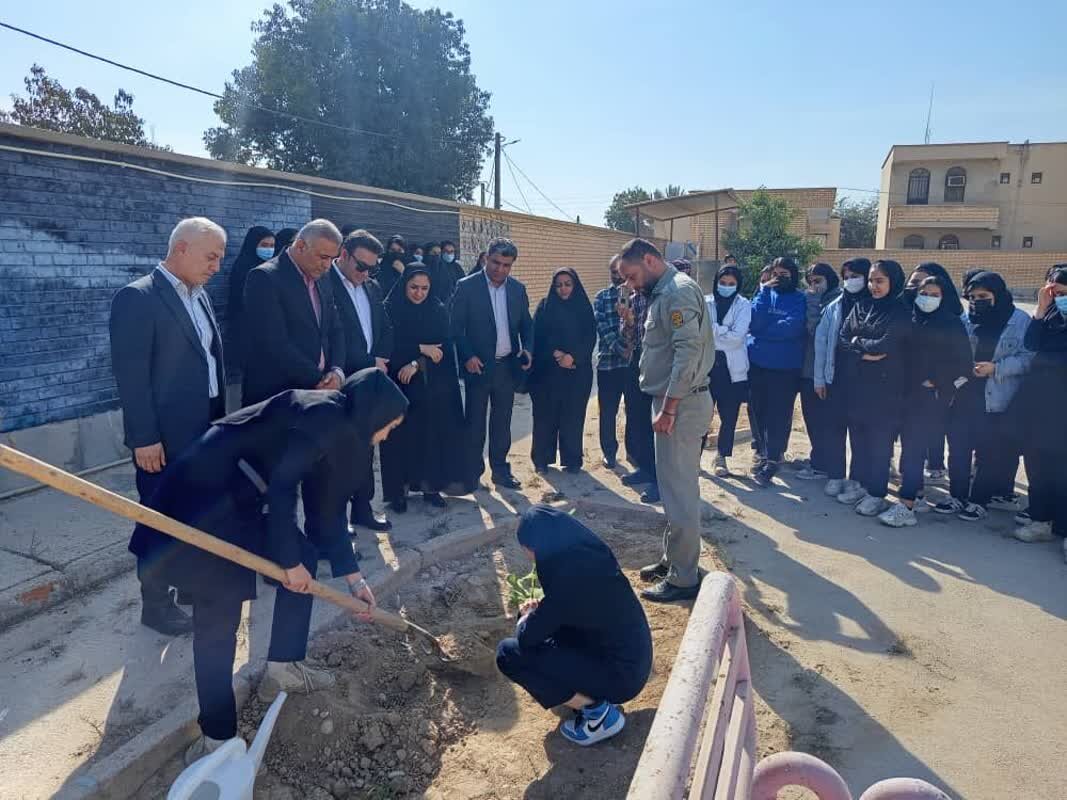 مراسم کاشت نهال در بندرریگ برگزار شد