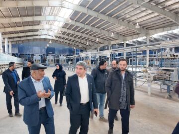 چرخ‌های اقتصاد استان سمنان در حرکت؛ نگاه ویژه به احیای واحدهای راکد