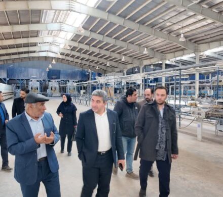 چرخهای اقتصاد استان سمنان در حرکت؛ نگاه ویژه به احیای واحدهای راکد