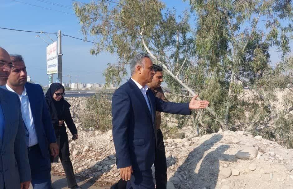 فرماندار کنگان: هدایت تحصیلی هدفمند دانشجویان ضروری است