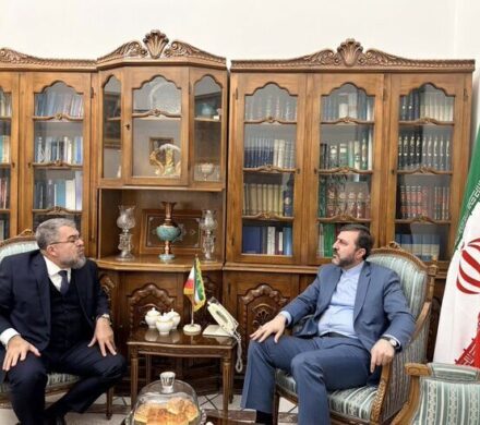 غریب آبادی: روابط ایران و برزیل ظرفیت گسترش قابل توجهی دارد